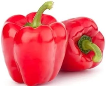Vegetable Seeds,Garden seeds, Seeds For Planting,Plant Seeds