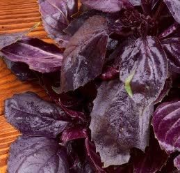 Herb Seeds,Garden seeds, Seeds For Planting,Plant Seeds