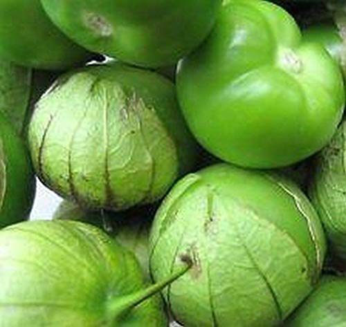 Green Cisineros Tomatillo Vegetable Seeds for Planting – Heirloom & Non-GMO Seeds for Traditional Salsa Gardens