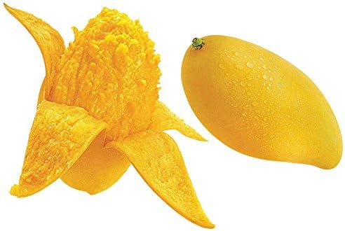 Fruit Seeds,Garden seeds, Seeds For Planting,Plant Seeds