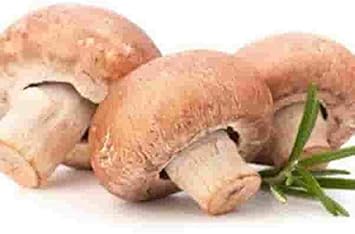 Vegetable Seeds,Garden seeds, Seeds For Planting,Plant Seeds