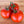 Vegetable Seeds,Garden seeds, Seeds For Planting,Plant Seeds