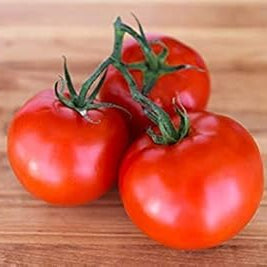 Vegetable Seeds,Garden seeds, Seeds For Planting,Plant Seeds