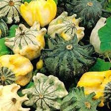 Vegetable Seeds,Garden seeds, Seeds For Planting,Plant Seeds
