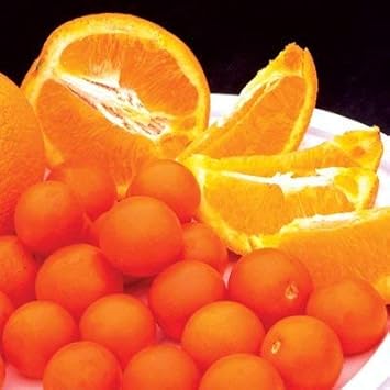 Vegetable Seeds,Garden seeds, Seeds For Planting,Plant Seeds