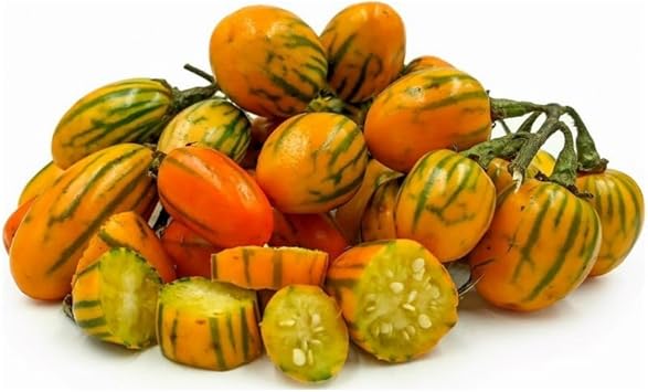 Vegetable Seeds,Garden seeds, Seeds For Planting,Plant Seeds