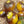Vegetable Seeds,Garden seeds, Seeds For Planting,Plant Seeds