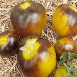 Vegetable Seeds,Garden seeds, Seeds For Planting,Plant Seeds