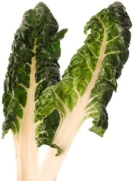 Vegetable Seeds,Garden seeds, Seeds For Planting,Plant Seeds