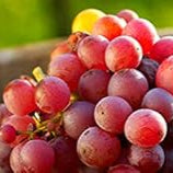 Fruit Seeds,Garden seeds, Seeds For Planting,Plant Seeds