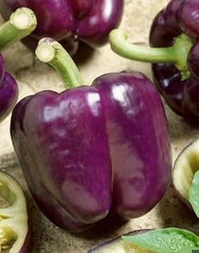 Vegetable Seeds,Garden seeds, Seeds For Planting,Plant Seeds