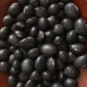 Vegetable Seeds,Garden seeds, Seeds For Planting,Plant Seeds