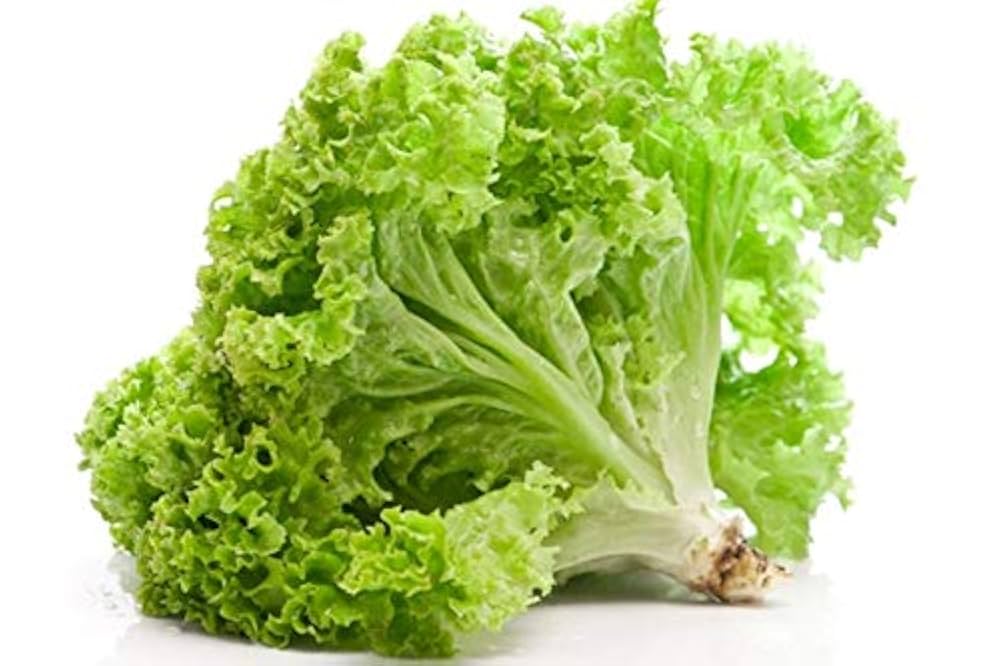 White Green Lettuce Vegetable Seeds for Planting – Heirloom & Non-GMO Garden Seeds for Crisp Salad Greens