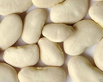 Vegetable Seeds,Garden seeds, Seeds For Planting,Plant Seeds