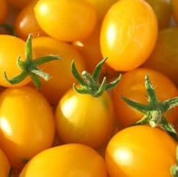 Vegetable Seeds,Garden seeds, Seeds For Planting,Plant Seeds