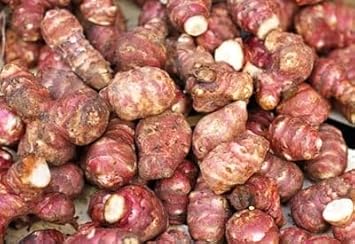 Vegetable Seeds,Garden seeds, Seeds For Planting,Plant Seeds