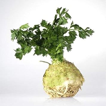 Herb Seeds,Garden seeds, Seeds For Planting,Plant Seeds