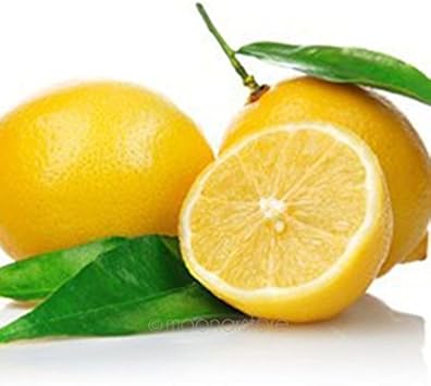 Fruit Seeds,Garden seeds, Seeds For Planting,Plant Seeds