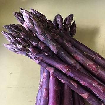 Vegetable Seeds,Garden seeds, Seeds For Planting,Plant Seeds