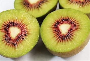 Fruit Seeds,Garden seeds, Seeds For Planting,Plant Seeds