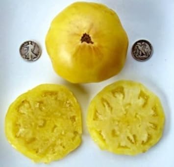 Vegetable Seeds,Garden seeds, Seeds For Planting,Plant Seeds
