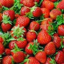 Fruit Seeds,Garden seeds, Seeds For Planting,Plant Seeds