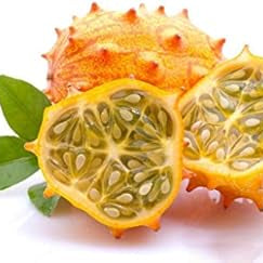 Vegetable Seeds,Garden seeds, Seeds For Planting,Plant Seeds