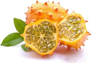 Vegetable Seeds,Garden seeds, Seeds For Planting,Plant Seeds