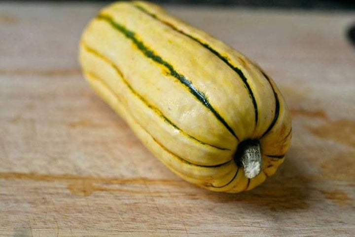 Organic Delicata Squash Seeds – Heirloom Non-GMO Sweet Winter Vegetable Seeds for Planting, Organic Garden Seeds