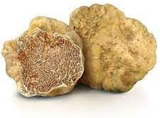 Vegetable Seeds,Garden seeds, Seeds For Planting,Plant Seeds