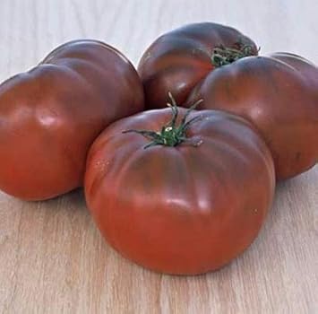 Vegetable Seeds,Garden seeds, Seeds For Planting,Plant Seeds