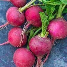 Radish Cherry Belle Seeds – Fast-Growing Heirloom Vegetable for Home Gardens