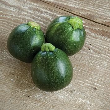 Vegetable Seeds,Garden seeds, Seeds For Planting,Plant Seeds