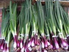 Vegetable Seeds,Garden seeds, Seeds For Planting,Plant Seeds