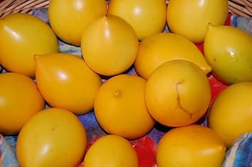 Fruit Seeds,Garden seeds, Seeds For Planting,Plant Seeds