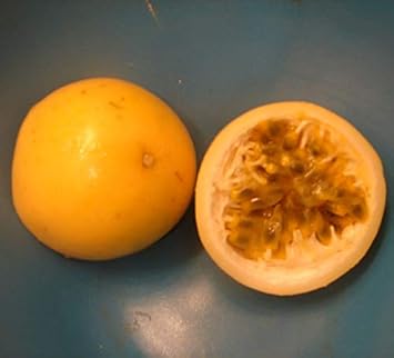Fruit Seeds,Garden seeds, Seeds For Planting,Plant Seeds