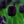 Black Tulip Flower seeds for Planting - Easy to Grow, Heirloom & GMO Free Seeds for Home Garden, 100pcs