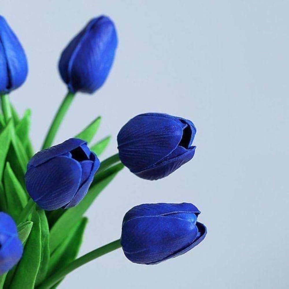 Blue Tulip Flower Seeds for Planting – Heirloom Non-GMO Organic Garden Seeds with High Germination