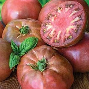 Vegetable Seeds,Garden seeds, Seeds For Planting,Plant Seeds
