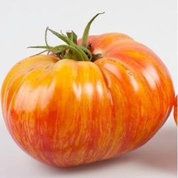 Vegetable Seeds,Garden seeds, Seeds For Planting,Plant Seeds