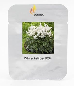 Flower Seeds, Seeds,Seeds For Planting,Plant Seeds