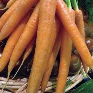 Vegetable Seeds,Garden seeds, Seeds For Planting,Plant Seeds