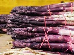 Vegetable Seeds,Garden seeds, Seeds For Planting,Plant Seeds