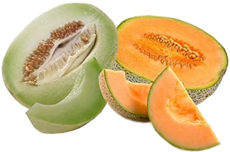 Green Dew Melon Fruit Seeds for Planting – Heirloom, Non-GMO Refreshing Aromatic Garden Fruit Seeds