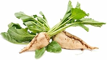 Vegetable Seeds,Garden seeds, Seeds For Planting,Plant Seeds