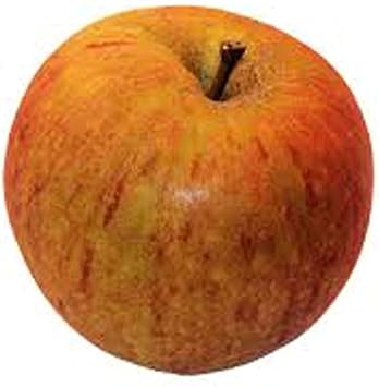 Fruit Seeds,Garden seeds, Seeds For Planting,Plant Seeds