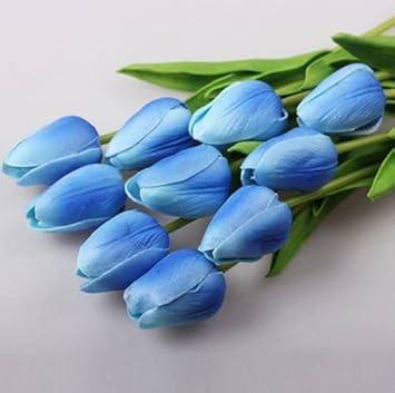 Flower Seeds, Seeds,Seeds For Planting,Plant Seeds