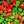 Vegetable Seeds,Garden seeds, Seeds For Planting,Plant Seeds