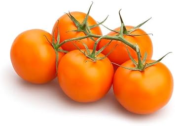 Vegetable Seeds,Garden seeds, Seeds For Planting,Plant Seeds