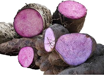 Vegetable Seeds,Garden seeds, Seeds For Planting,Plant Seeds